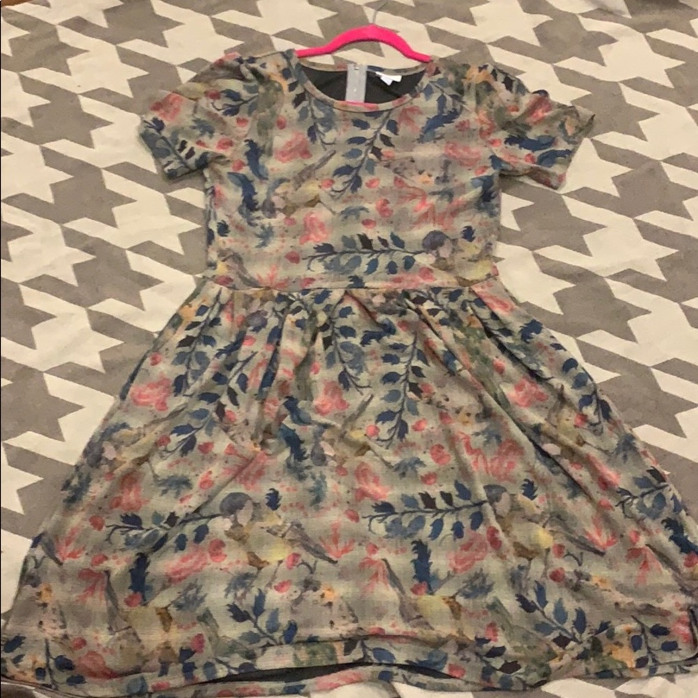Lularoe amelia